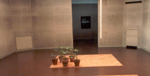 Paisaje (instalacion), Renzi, 1968